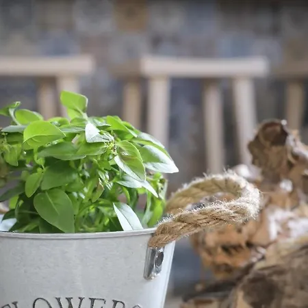 Beachfront Deluxe Apt. 公寓 佩科霍里